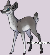 Pet