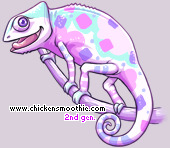 Pet