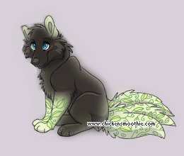 Pet