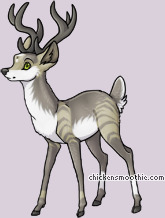 Pet