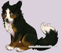 Pet