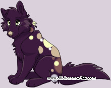 Pet