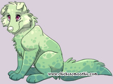 Pet