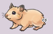 Pet