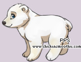 Pet