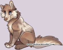 Pet