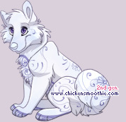 Pet