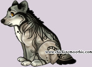 Pet