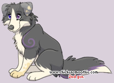 Pet