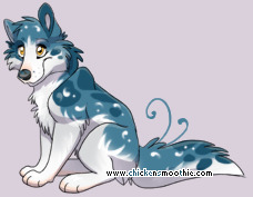 Pet