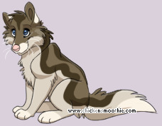 Pet