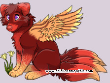 Pet