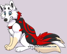 Pet