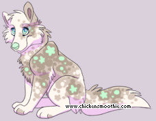 Pet
