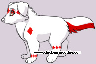 Pet