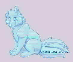 Pet