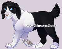 Pet