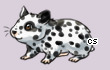 Pet