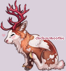 Pet