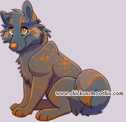 Pet