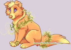 Pet