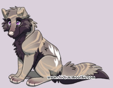 Pet