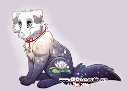 Pet