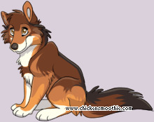 Pet