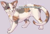 Pet