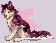 Pet