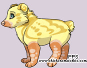 Pet