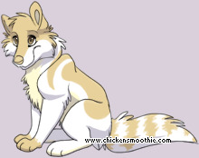 Pet