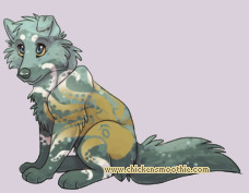 Pet