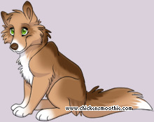 Pet