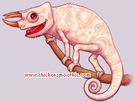 Pet