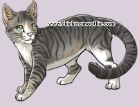 Pet