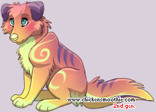 Pet