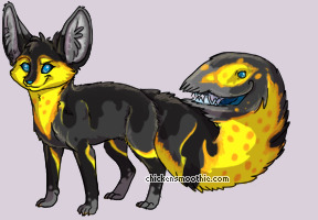 Pet