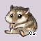 Pet