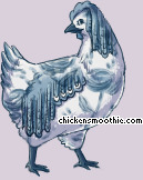 Pet
