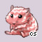 Pet