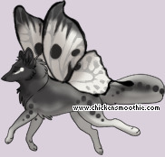 Pet