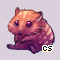 Pet