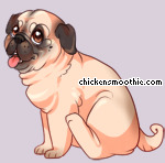 Pet