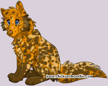 Pet