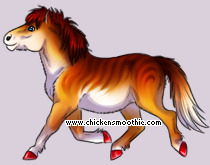 Pet