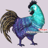 Pet