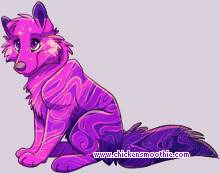 Pet