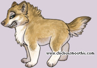 Pet