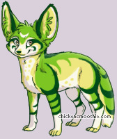 Pet